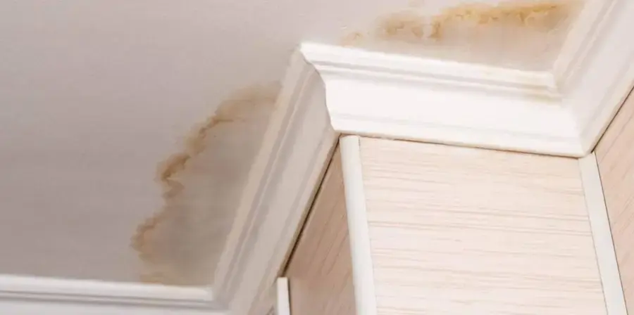 Brown water stain spreading across a ceiling from a leak above